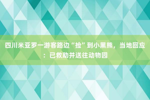 四川米亚罗一游客路边“捡”到小黑熊，当地回应：已救助并送往动物园